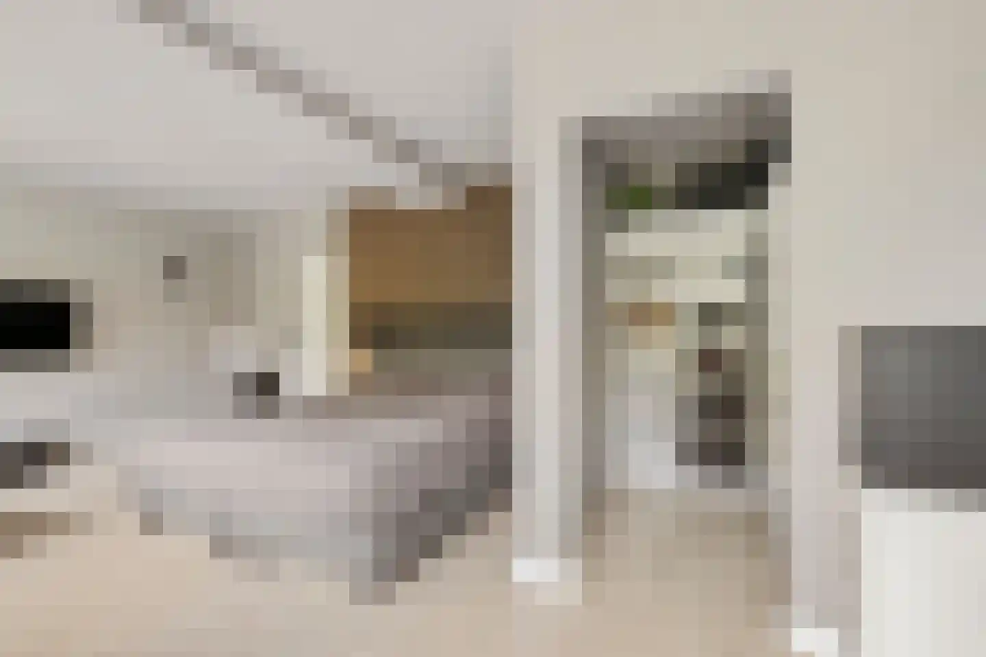 Haaghweg 12 a Didam thumbnail 23