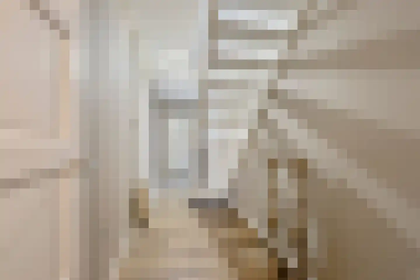 Haaghweg 12 a Didam thumbnail 24