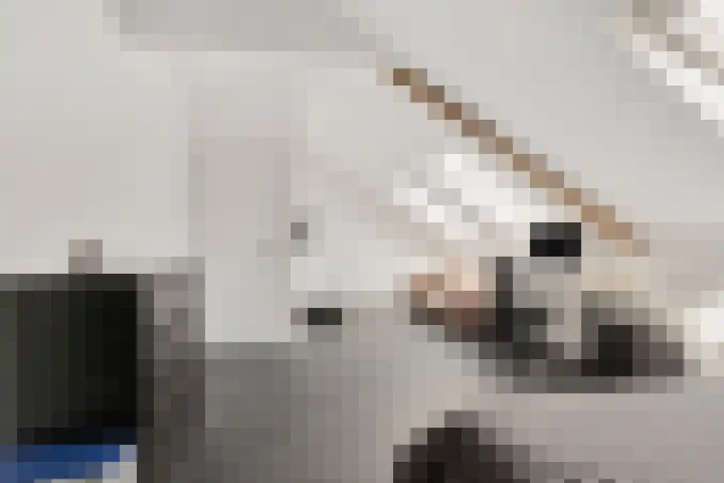 Haaghweg 12 a Didam thumbnail 27