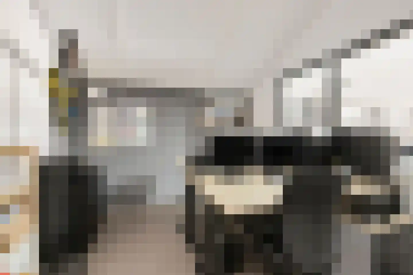 Haaghweg 12 a Didam thumbnail 30