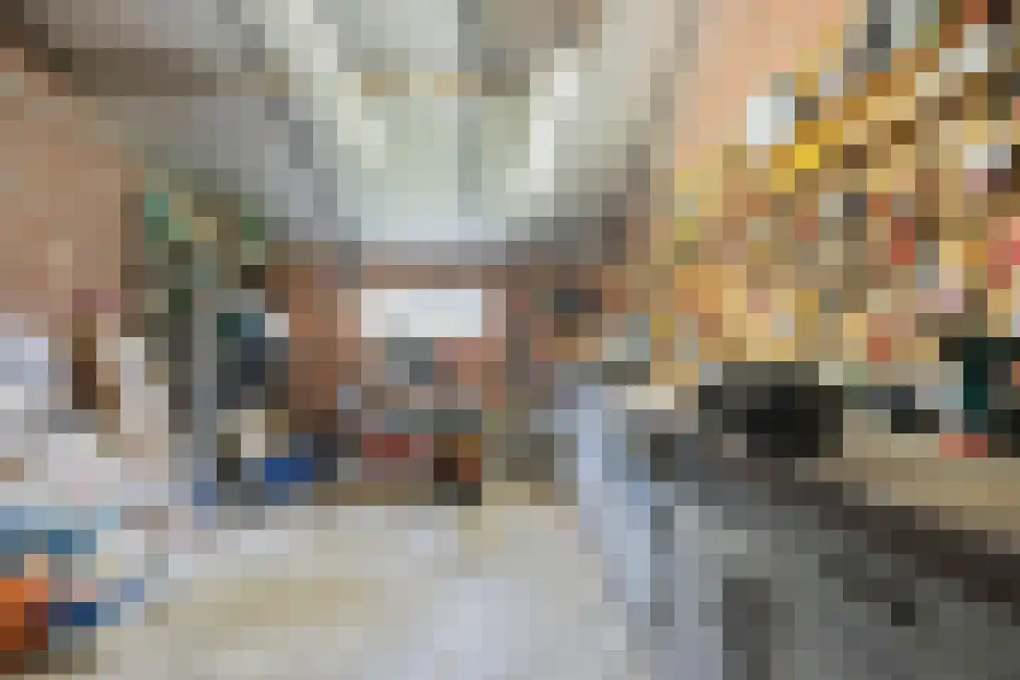 Haaghweg 12 a Didam thumbnail 31