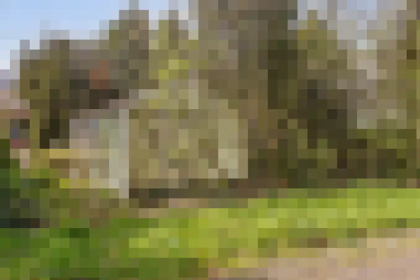 Haaghweg 12 a Didam thumbnail 34