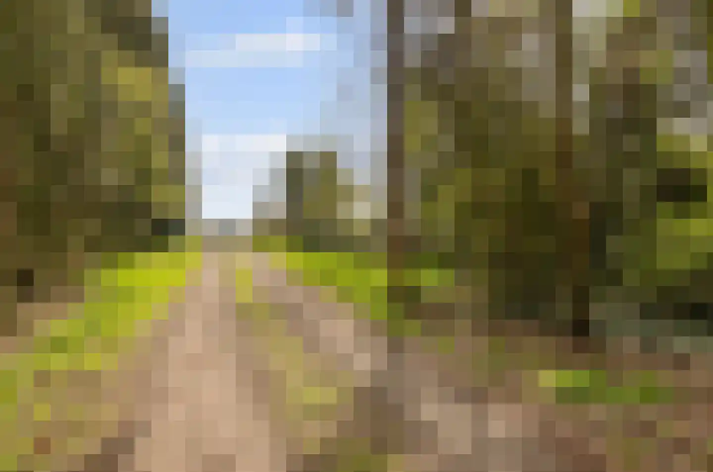 Haaghweg 12 a Didam thumbnail 35
