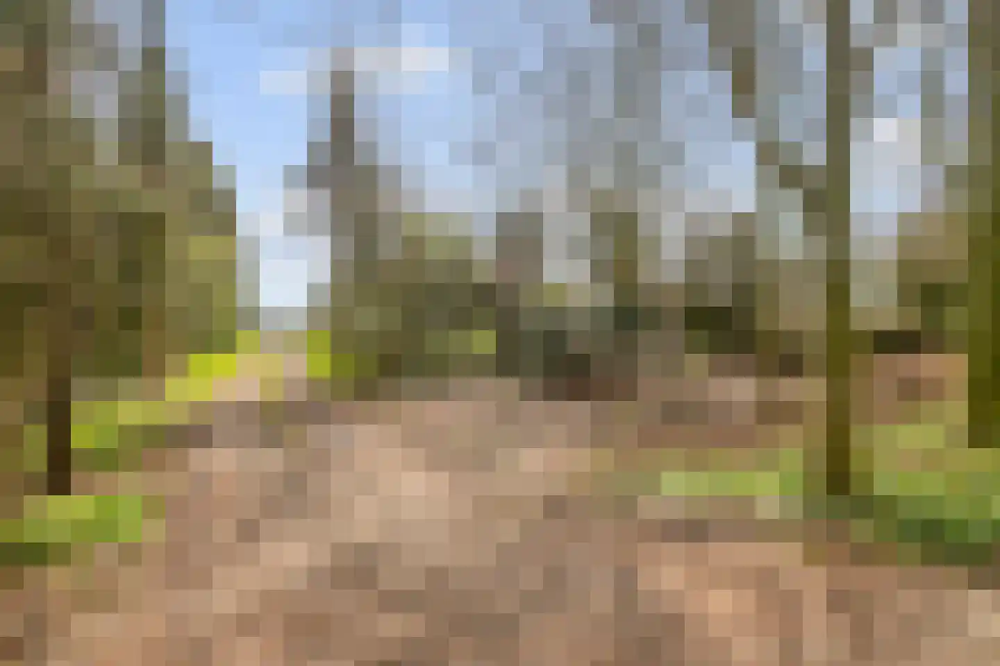 Haaghweg 12 a Didam thumbnail 36
