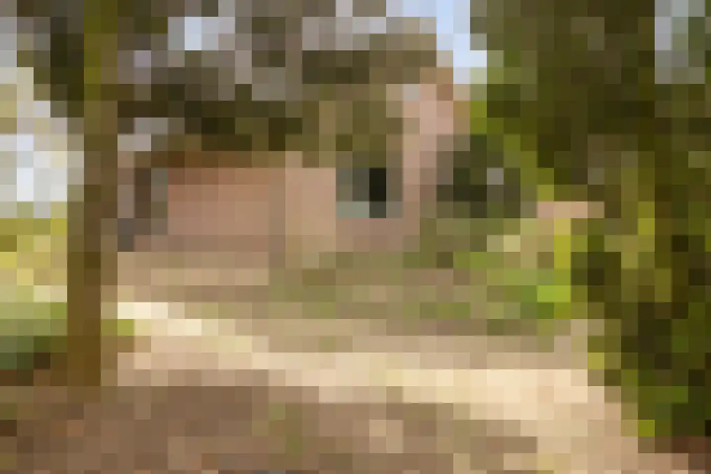 Haaghweg 12 a Didam thumbnail 38