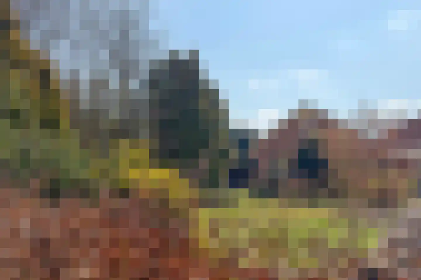 Haaghweg 12 a Didam thumbnail 39