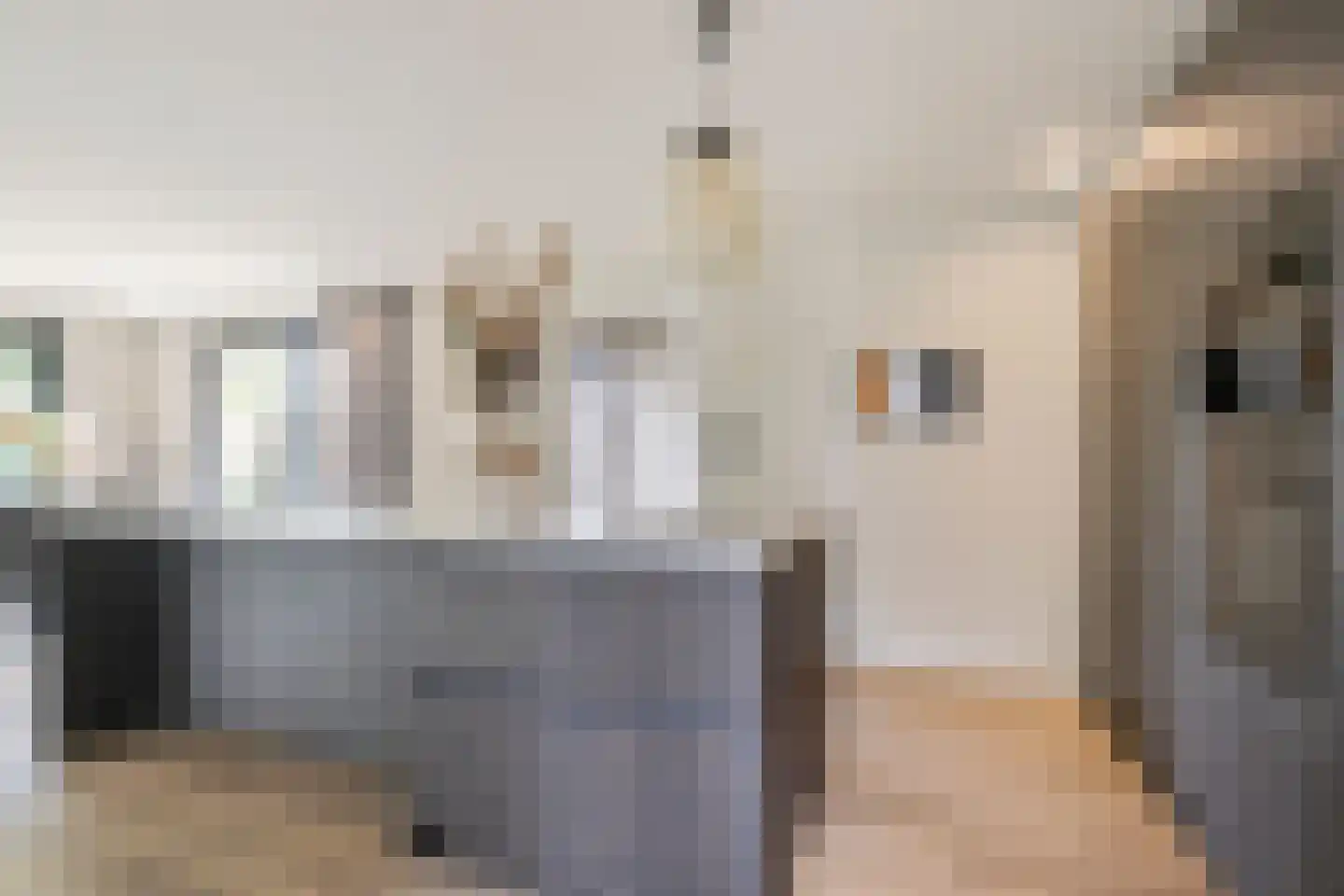 Haaghweg 12 a Didam thumbnail 5