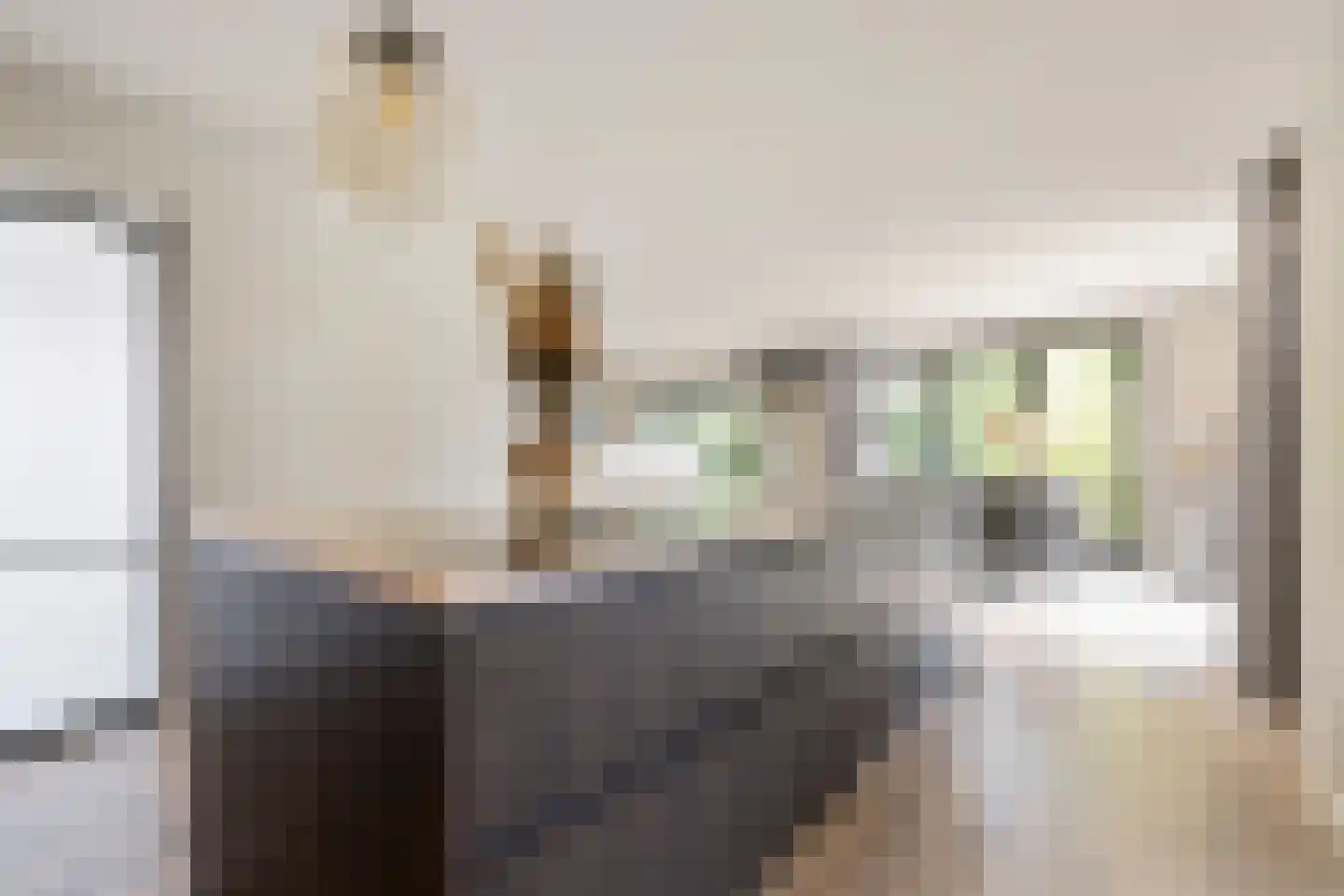 Haaghweg 12 a Didam thumbnail 6