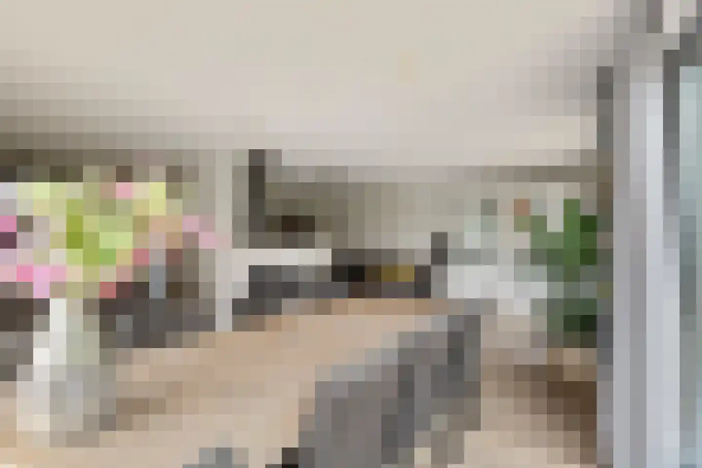 Haaghweg 12 a Didam thumbnail 8