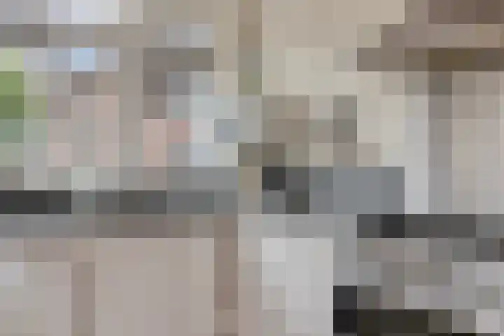 Haagje 12 Westmaas thumbnail 12