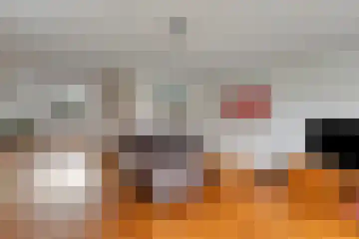 Haagje 12 Westmaas thumbnail 14