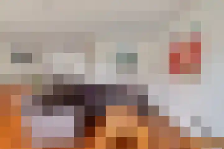 Haagje 12 Westmaas thumbnail 15