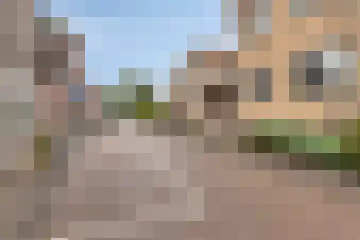 Haagje 12 Westmaas thumbnail 28
