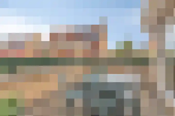 Haagje 12 Westmaas thumbnail 4