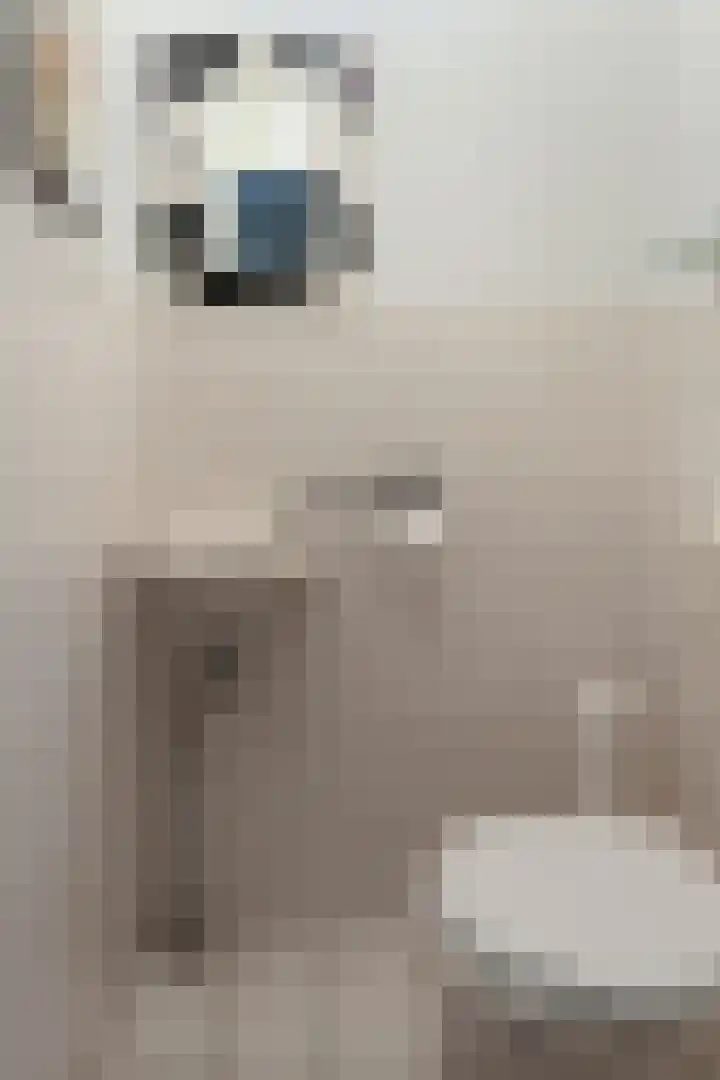 Haagje 12 Westmaas thumbnail 9