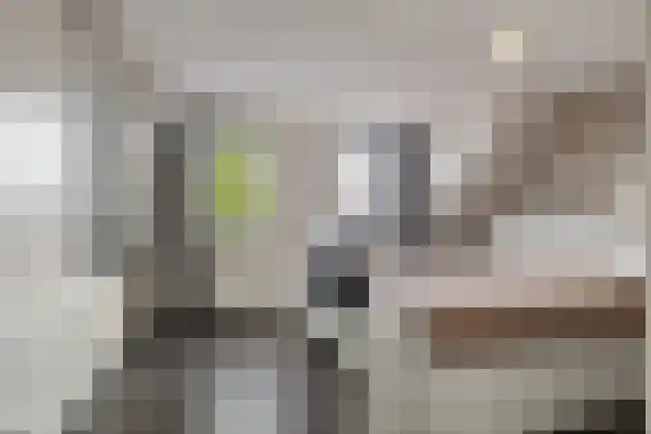 Haagje 16 Westmaas thumbnail 14