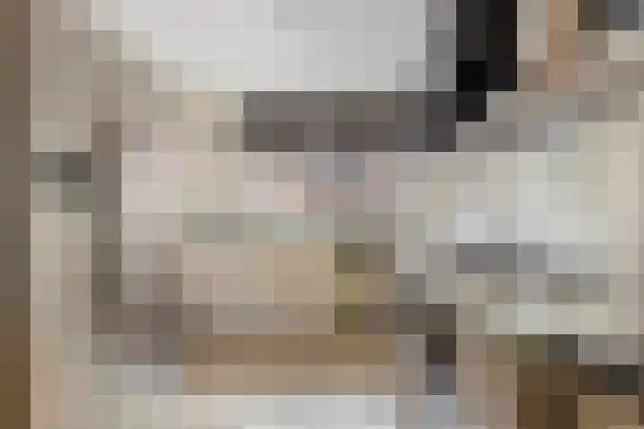 Haagje 16 Westmaas thumbnail 6
