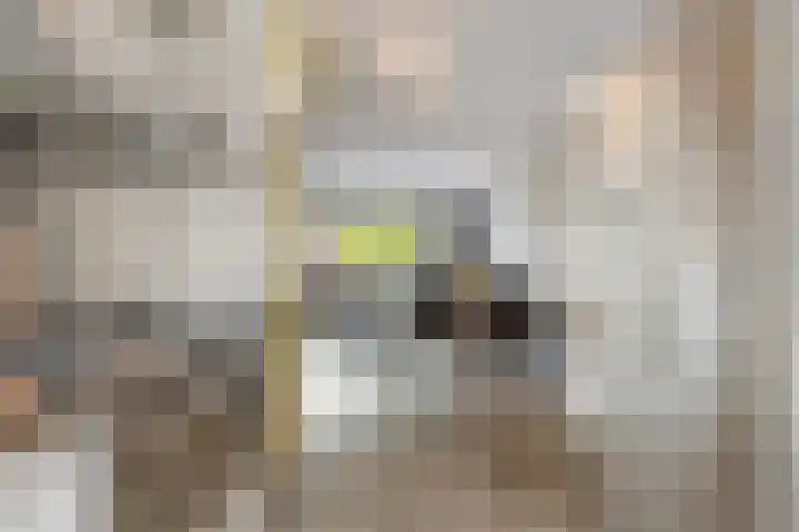 Haagje 16 Westmaas thumbnail 7