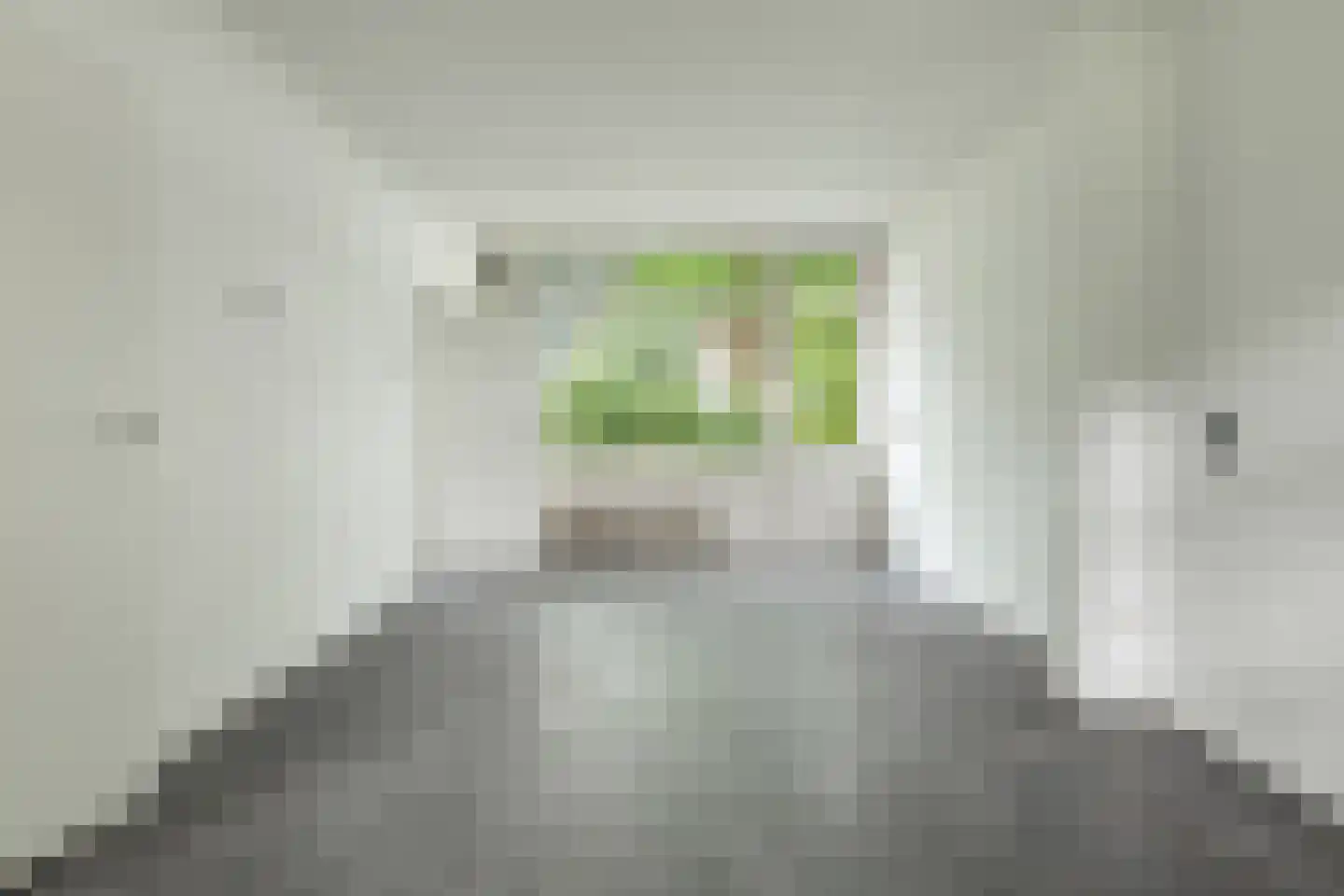 Haagjesweg 100 Emmen thumbnail 13