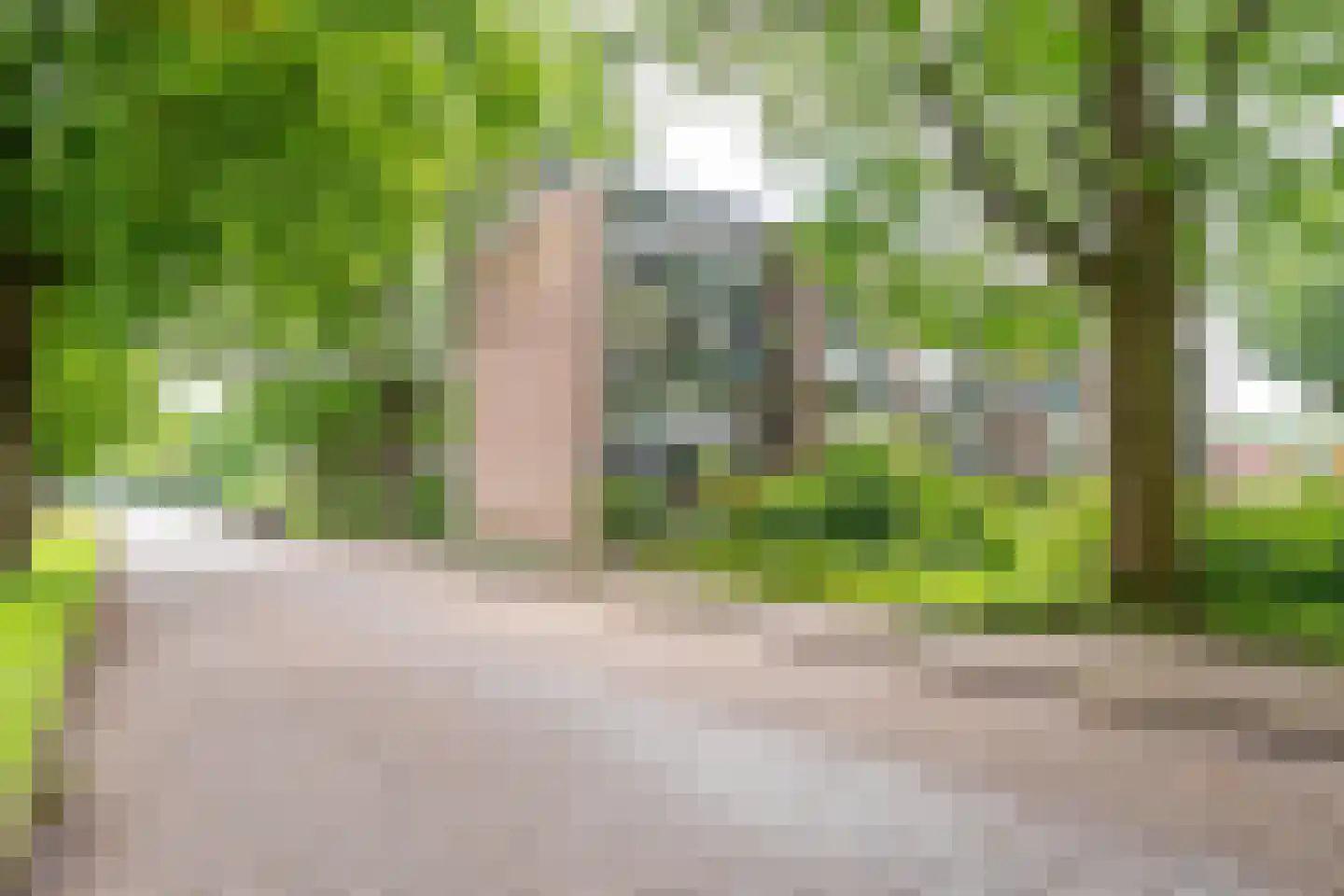 Haagjesweg 100 Emmen thumbnail 24