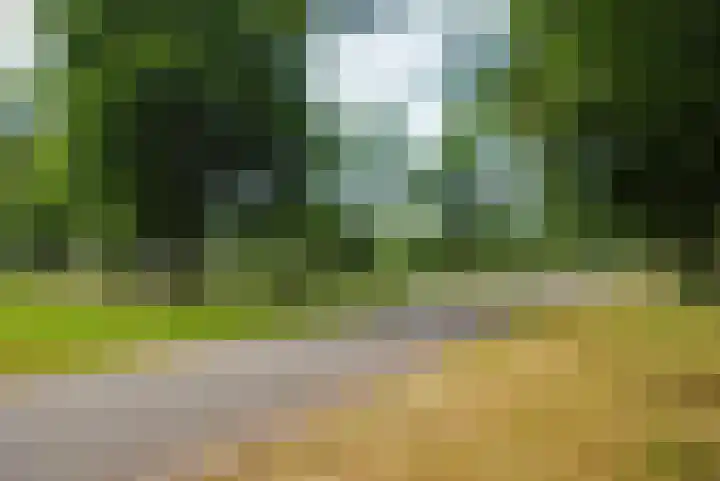 Haagjesweg 112 Emmen thumbnail 29