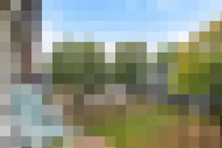 Haagjesweg 112 Emmen thumbnail 4