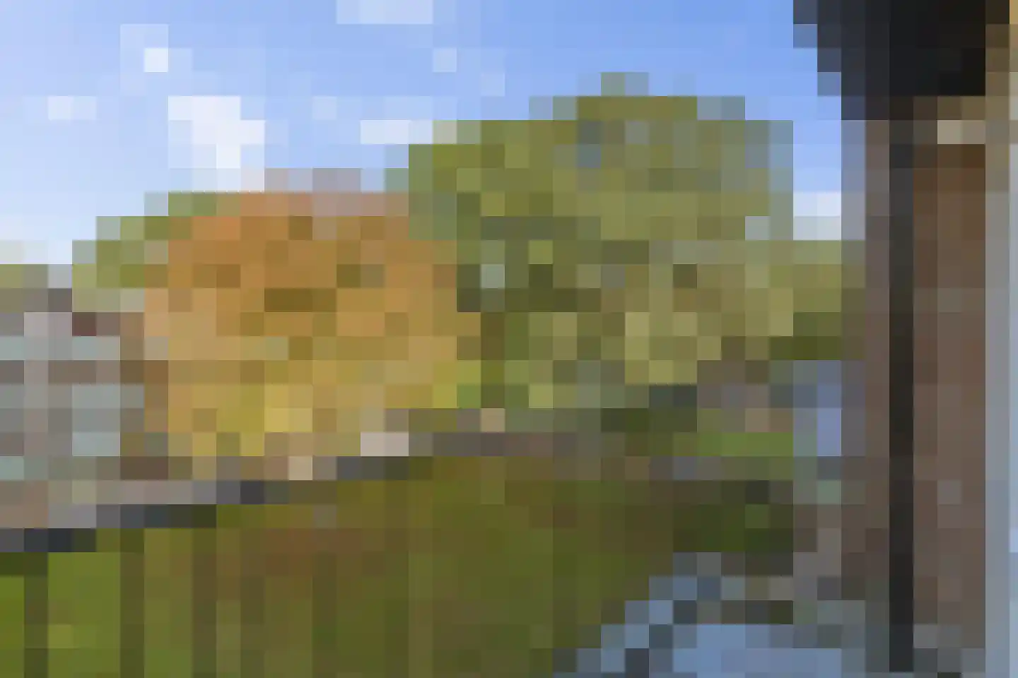 Haagjesweg 128 Emmen thumbnail 18