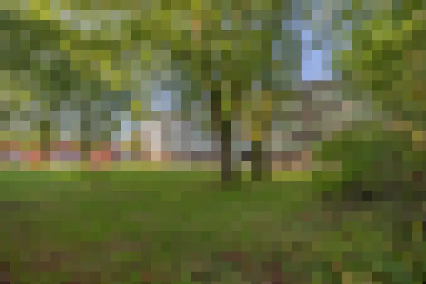 Haagjesweg 128 Emmen thumbnail 20