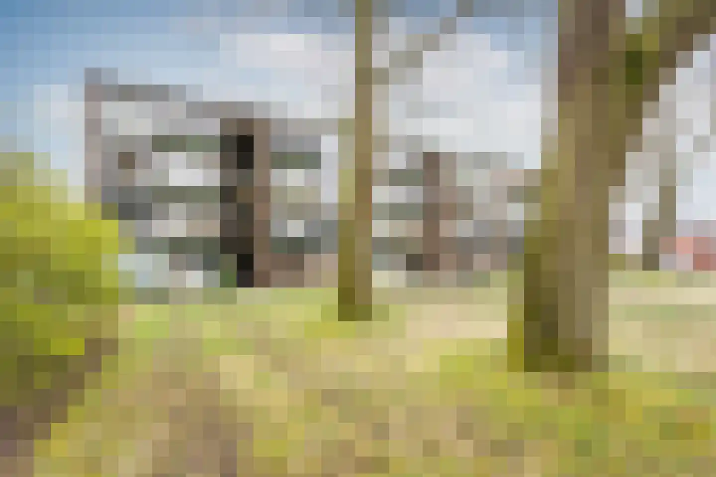Haagjesweg 154 Emmen thumbnail 20