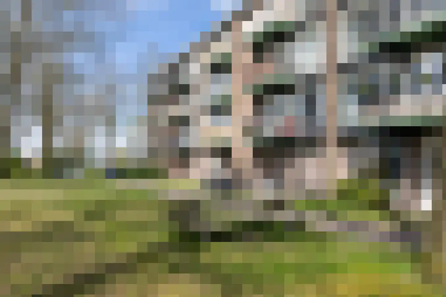 Haagjesweg 182 Emmen thumbnail 4