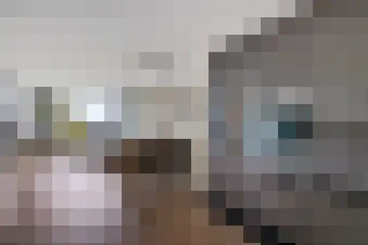 Haagjesweg 26 Emmen thumbnail 13