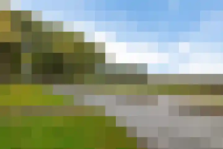 Haagjesweg 26 Emmen thumbnail 26