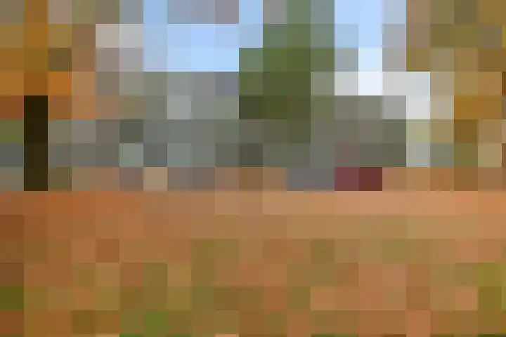 Haagjesweg 26 Emmen thumbnail 4
