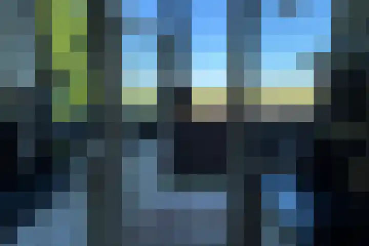 Haagjesweg 6 Emmen thumbnail 10