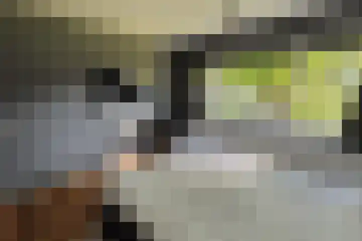 Haagjesweg 6 Emmen thumbnail 11