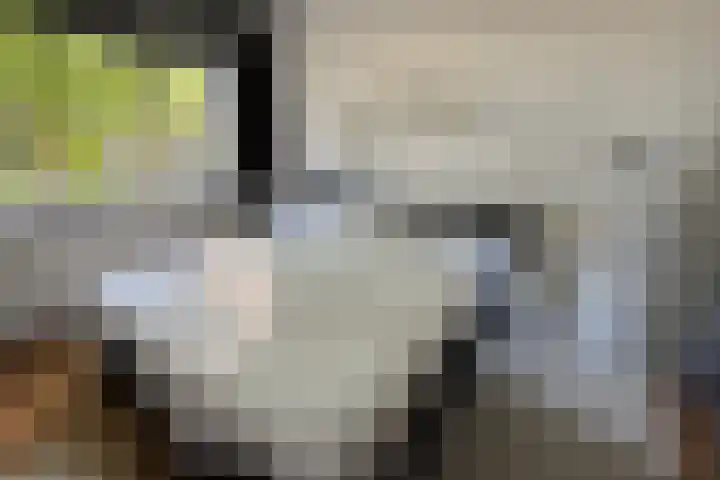 Haagjesweg 6 Emmen thumbnail 12