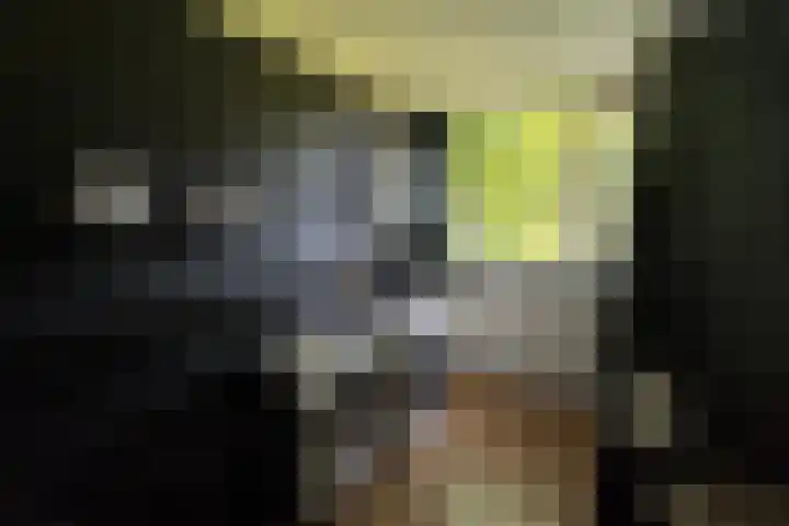 Haagjesweg 6 Emmen thumbnail 13