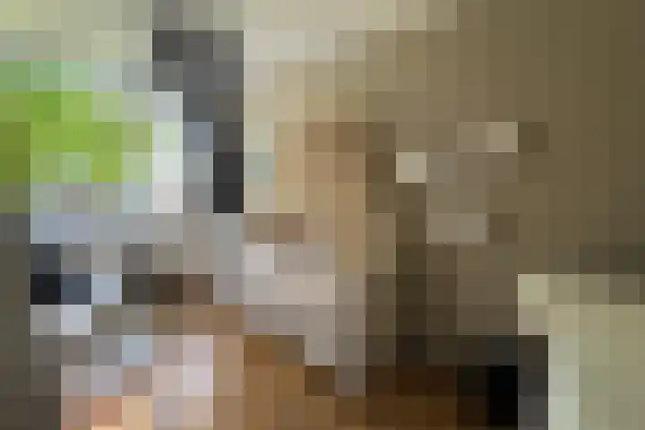 Haagjesweg 6 Emmen thumbnail 15
