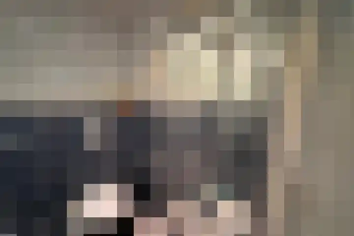Haagjesweg 6 Emmen thumbnail 16