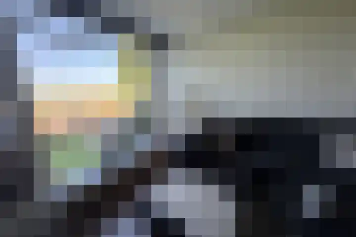 Haagjesweg 6 Emmen thumbnail 5