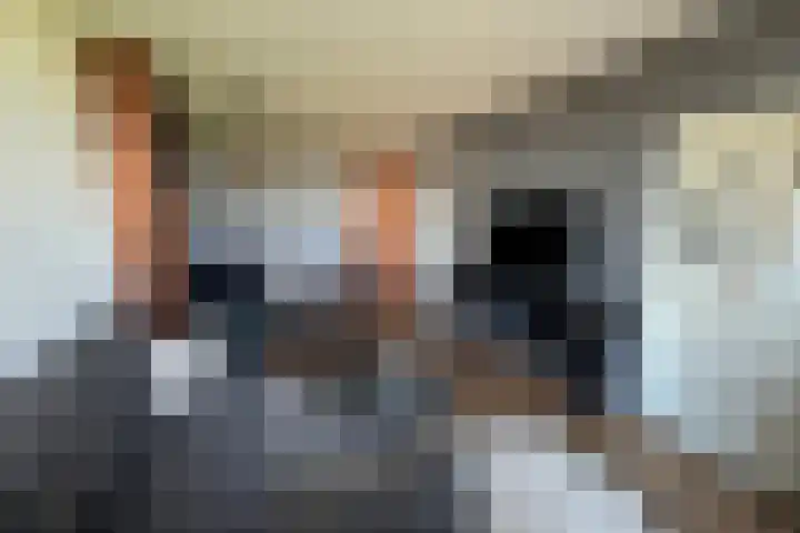 Haagjesweg 6 Emmen thumbnail 6