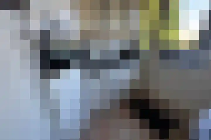 Haagjesweg 6 Emmen thumbnail 9