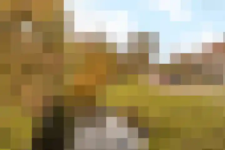 Haagkerslaan 6 Amstelveen thumbnail 33