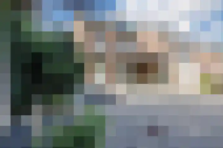 Haaglaan 20 A Helmond thumbnail 24
