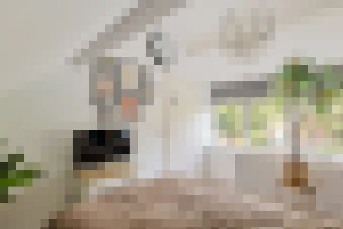 Haaglaan 3 Helmond thumbnail 26