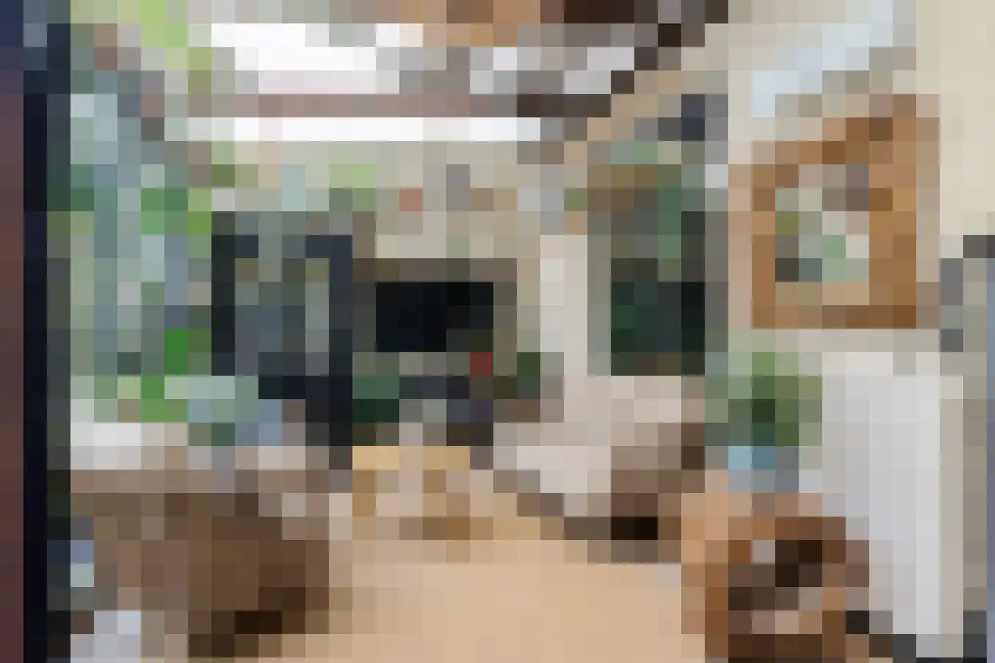 Haaglaan 3 Helmond thumbnail 30