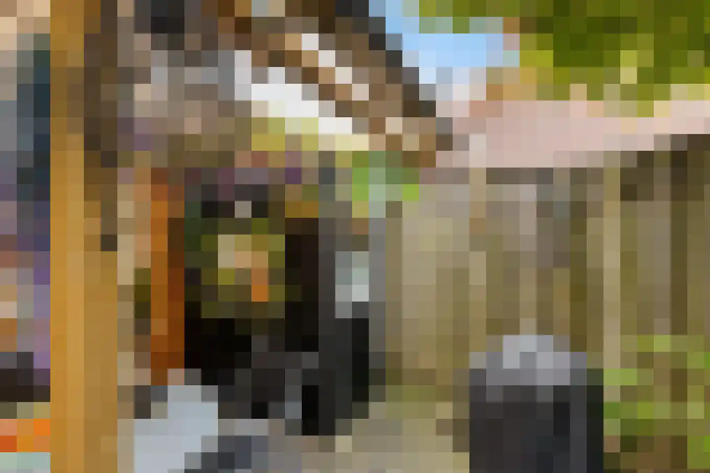 Haaglaan 3 Helmond thumbnail 37