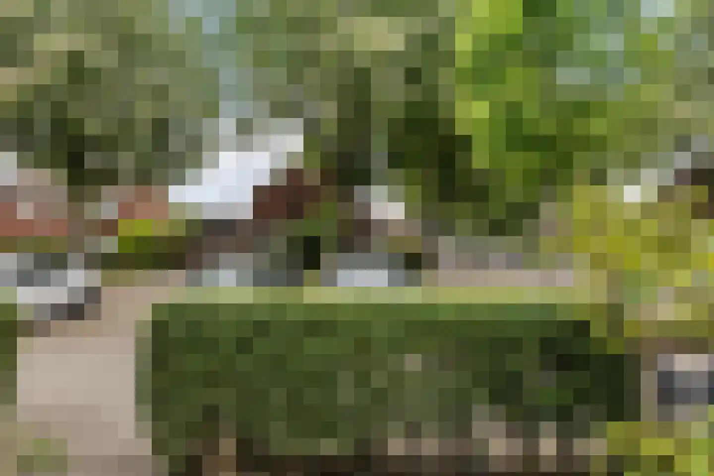 Haaglaan 3 Helmond thumbnail 40