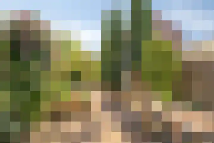 Haaglaan 5 Helmond thumbnail 25