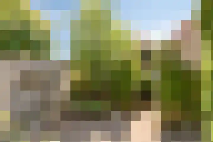 Haaglaan 5 Helmond thumbnail 26